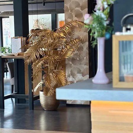 Hotel Bieze-2