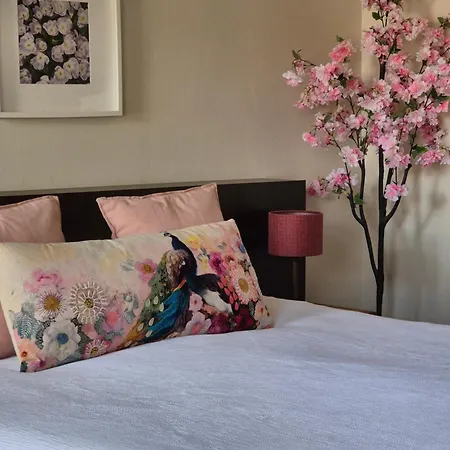 Boutique Hotel De Raetskamer-2