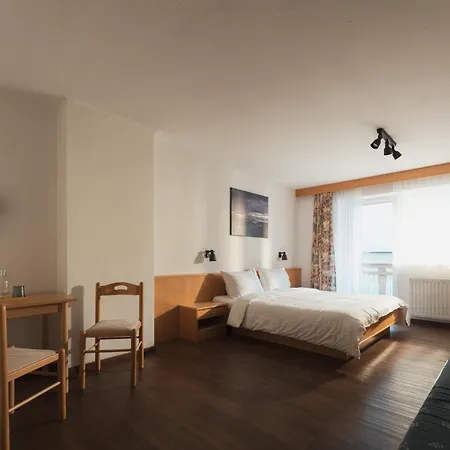 Hotel ALPINA-2