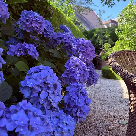 Cozy Boutique B&B De Roos&Garden Lounge-2