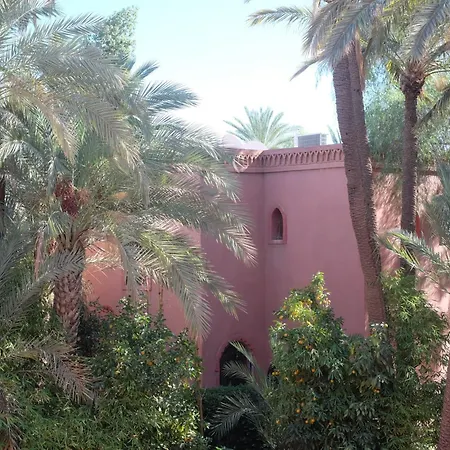 Riad Villa Amsterdam Palmeraie-3