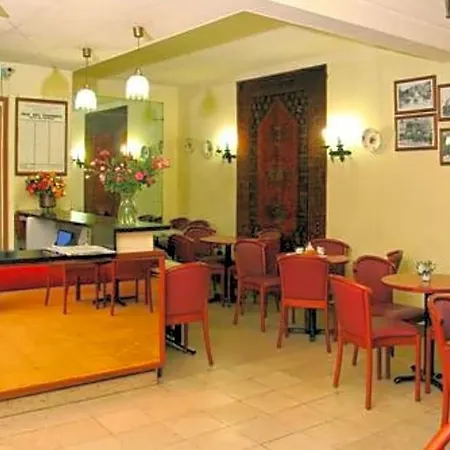 Camelia International-2