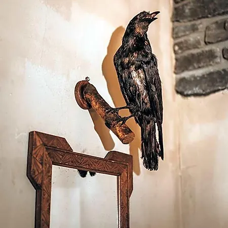 Le Fantome De Berthe Logement-Attraction Insolite-3