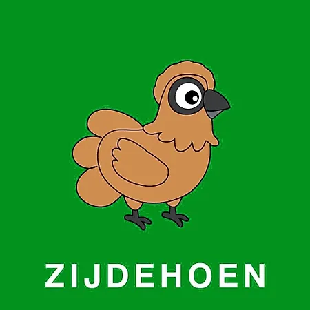 ut Hen Hoes-3
