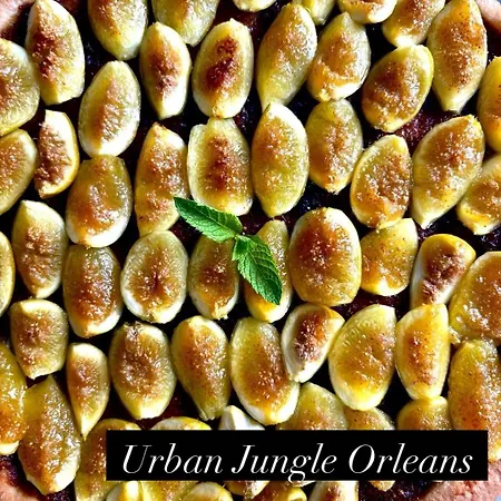 Urban Jungle Hotel Orleans-2