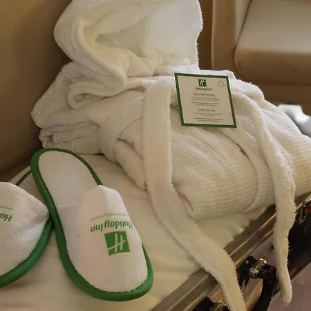 Holiday Inn Turin Corso Francia By Ihg-2