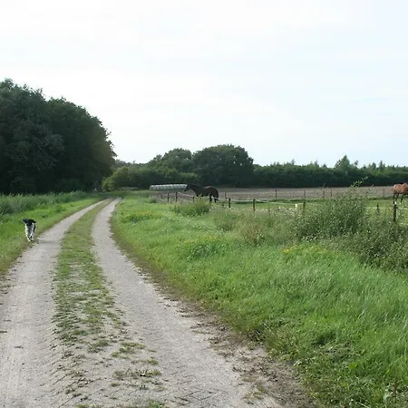 B&B De Drentse Es-2