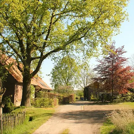 Huisje en B&B Green Cottage-3