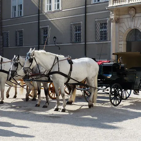 Amedeo Zotti Residence Salzburg-2