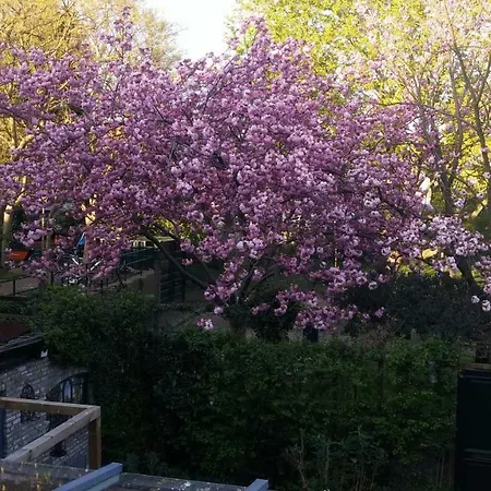 Bed en Broodje Bloem-3