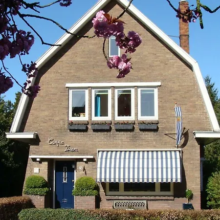 B&B Carpe Diem-3