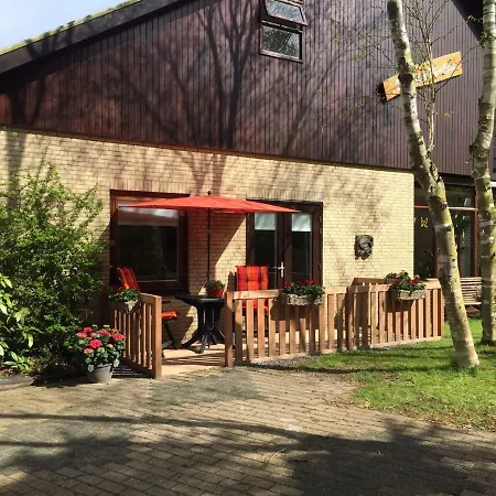 De Vier Berken 2-3