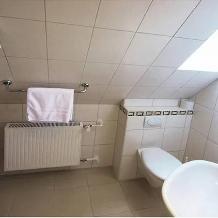 Pension Braun-3