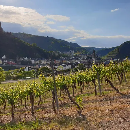 Weingut Haxel-2