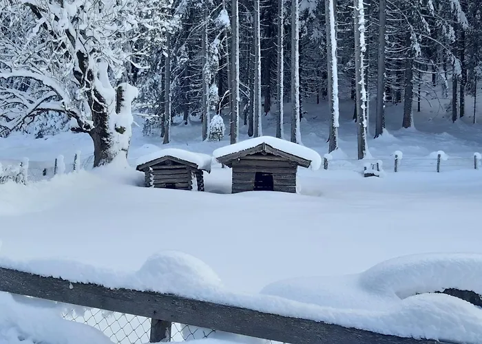 Haus Silvia Hotel Flachau