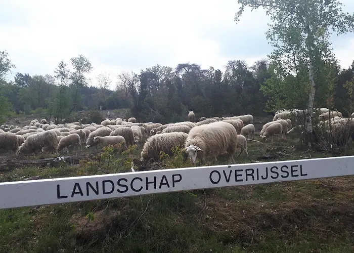 De Hammerhoeve Dalfsen
