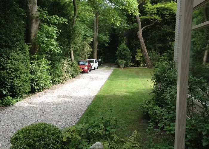 De Rode Beuk Bed and Breakfast Wassenaar