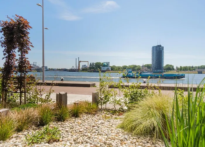 B&B Maasview Rotterdam
