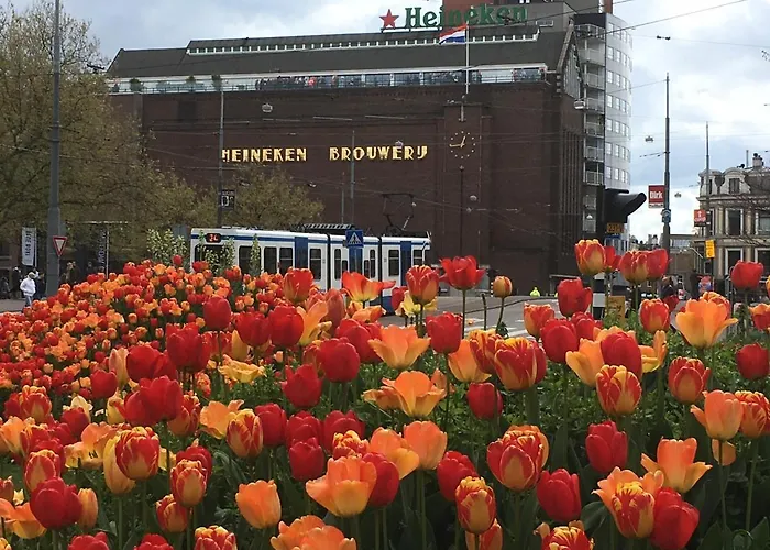 Gina's garden house Hotel Amsterdam