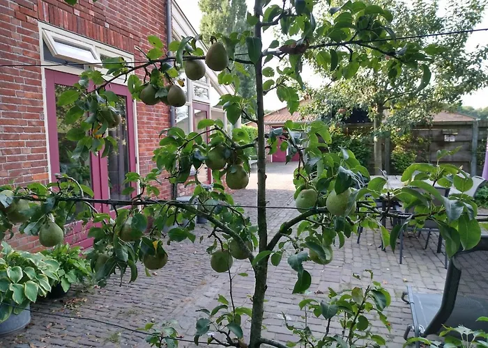 Bed op de Reth Bed and Breakfast Baarle-Nassau