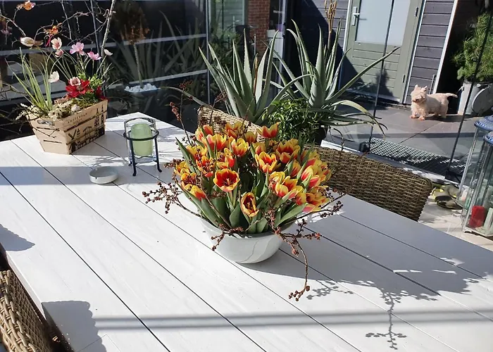 B&B Modern Times Amsterdam