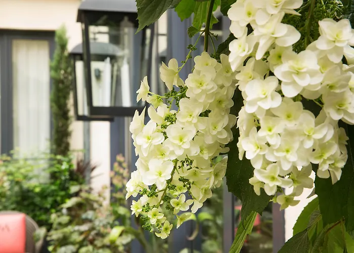 Hotel Villa Madame - Saint-Germain-Des-Pres Parijs