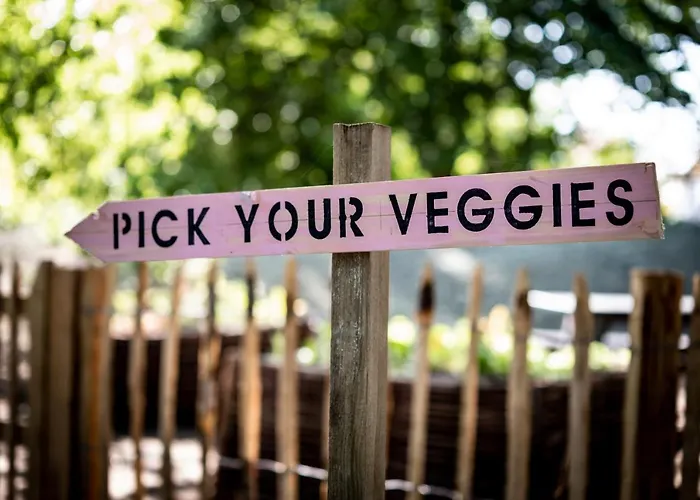 Les Cabanes D'Ostende