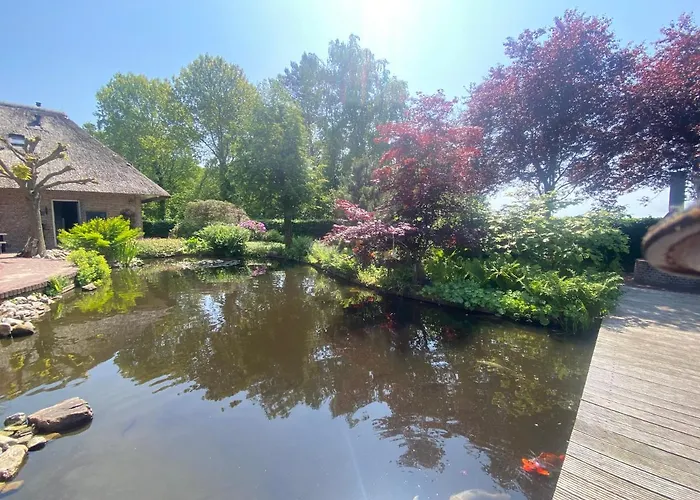 B&B. Het Hunebed Rolde
