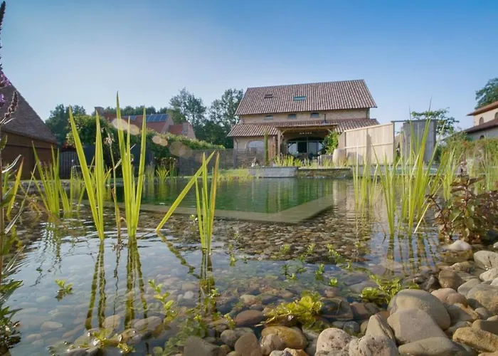 Lavendine Pure Guesthouse Genk