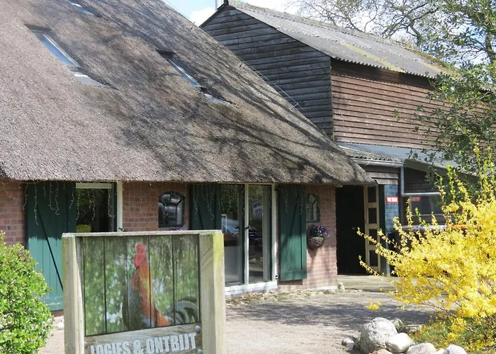 B&B de Berghoeve Ruinen