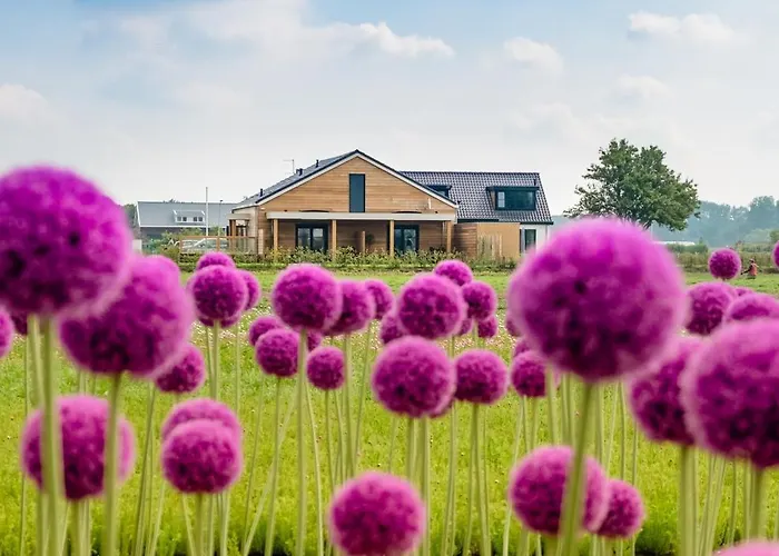 B&B De Cley Noordwijk