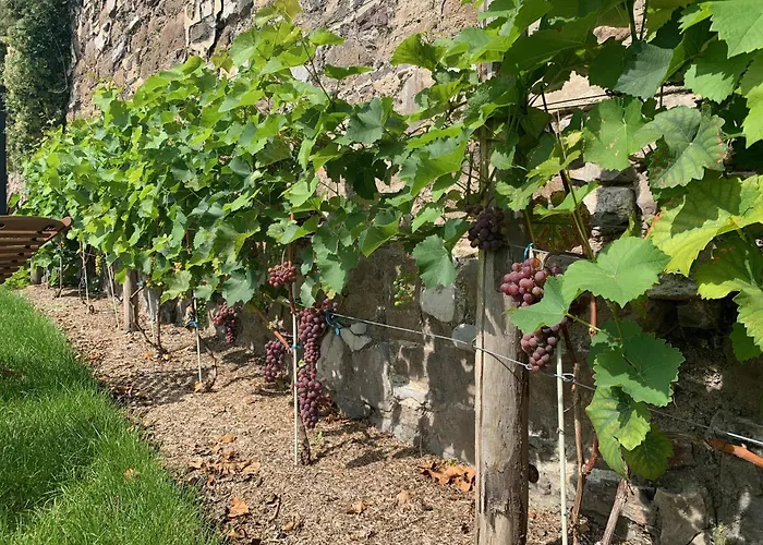 Bonjour Pierreuse Hotel Luik