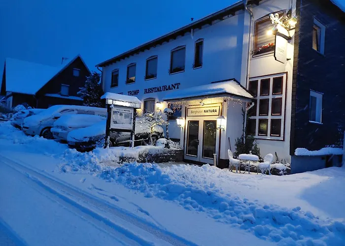 Berghotel Natura Bed & Breakfast Winterberg