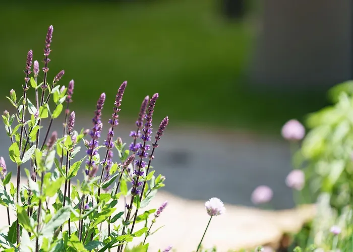 Les Jardins D'Anais Hotel Luxemburg