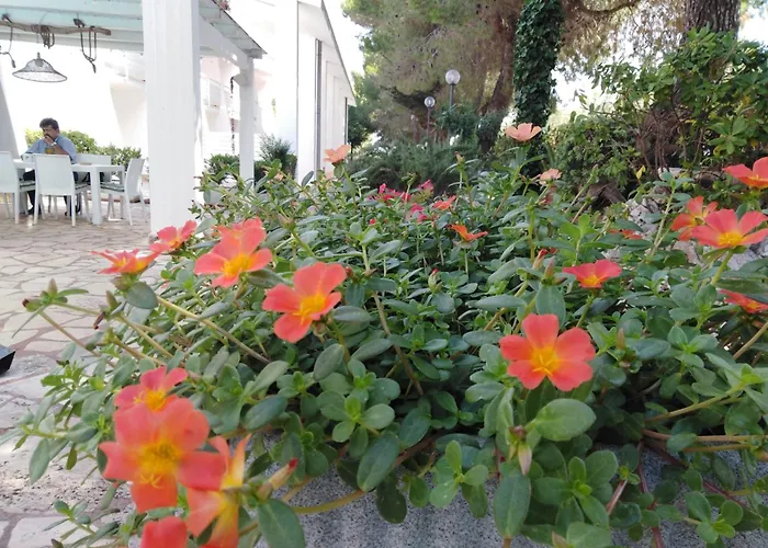 Raggio Di Sole Aparthotel Alberobello