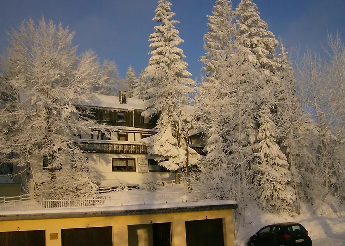 Pension Stiegelmeier Winterberg