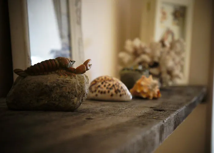 B&B Oesterhoeve Oostende