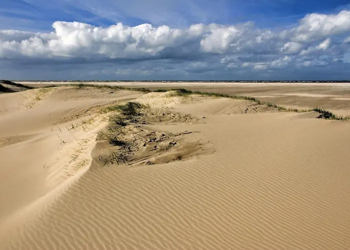 Ara Dune Hotel De Panne