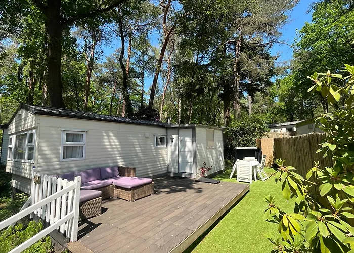 Boshuisje Met Sauna In Hoenderloo