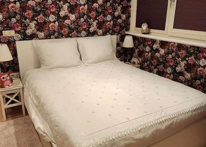 B&B De Drie Uiltjes Epe