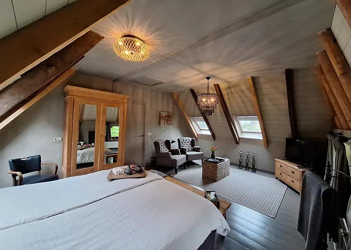 B&B De Meidoornhof Ruinen