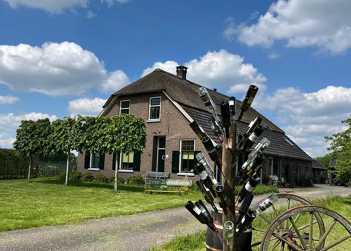 Erve Zonnehoeve B&B en Wijngaard Vorden