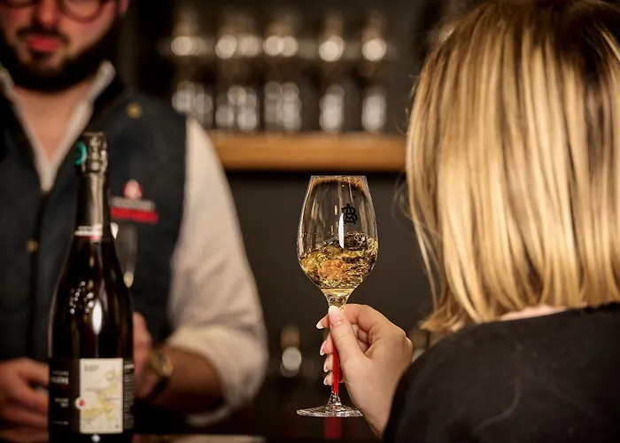 Champagne Andre Bergere & Suites Épernay