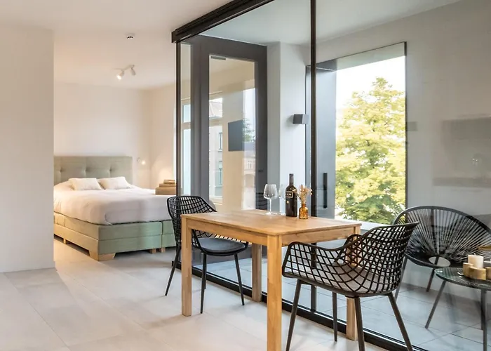 Mavue kamer met terras Mechelen