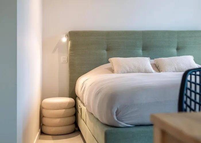 Mavue kamer met terras Mechelen