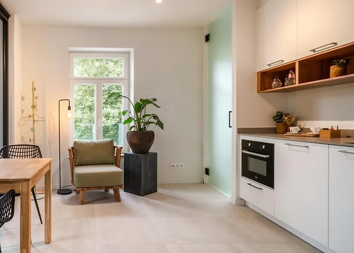 Mavue kamer met terras Mechelen