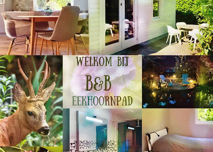 B&B Eekhoornpad Tilburg