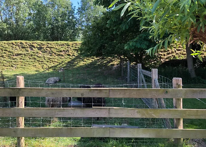 B&B De Tol Hulst