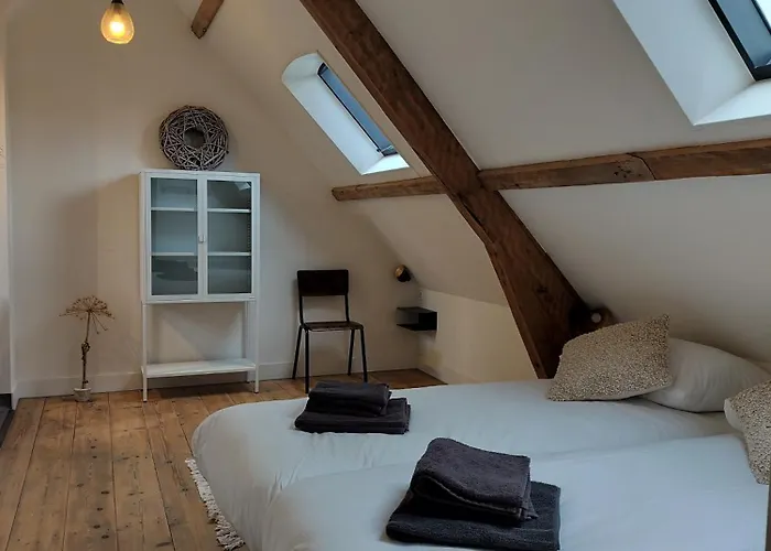 B&B 'Hof Baaiweg' Met Barrelsauna Zoutelande