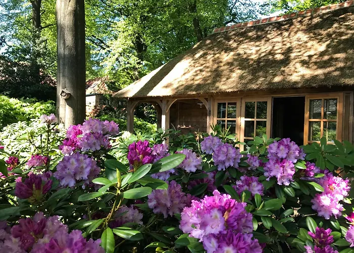 B&B La 'Petite Bergerie' Doorn